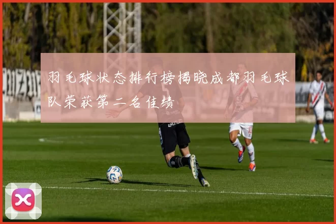 羽毛球状态排行榜揭晓成都羽毛球队荣获第二名佳绩