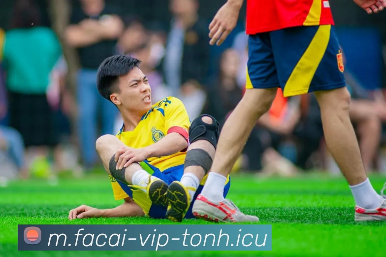 九游体育APP 封面图